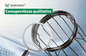 Consapevolezza qualitativa
