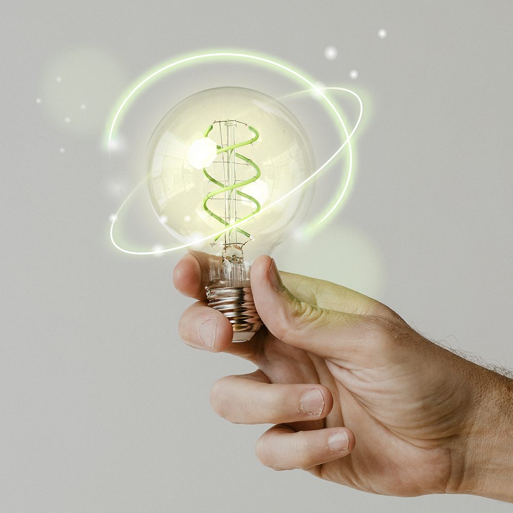 Green energy with hand holding an environmental light bulb background